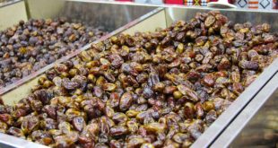 Timir, date, sweet, date fruit,