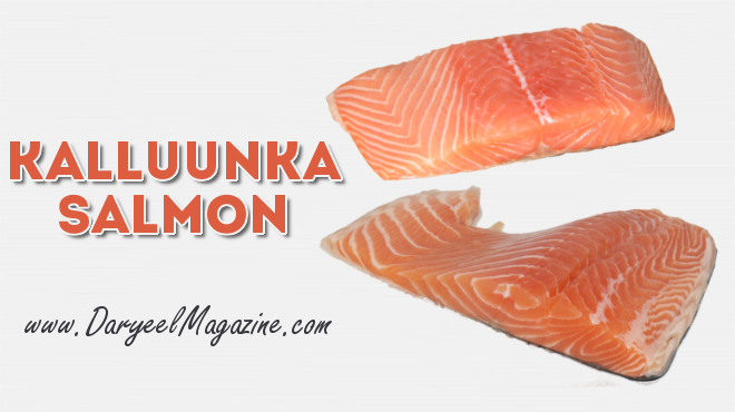 Kalluunka salmon, faaiidooyinka kaluunka, malaayga