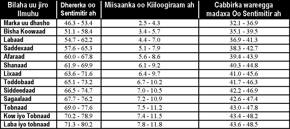 daryeelka ilmaha nafaqadooda