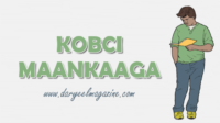 xikmado xul ah kobci maankaaga, xikmado cajiib ah